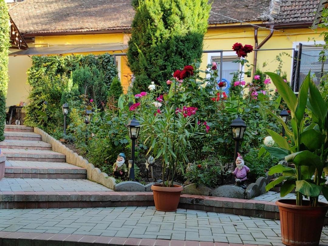 Color Home Hermannstadt Экстерьер фото